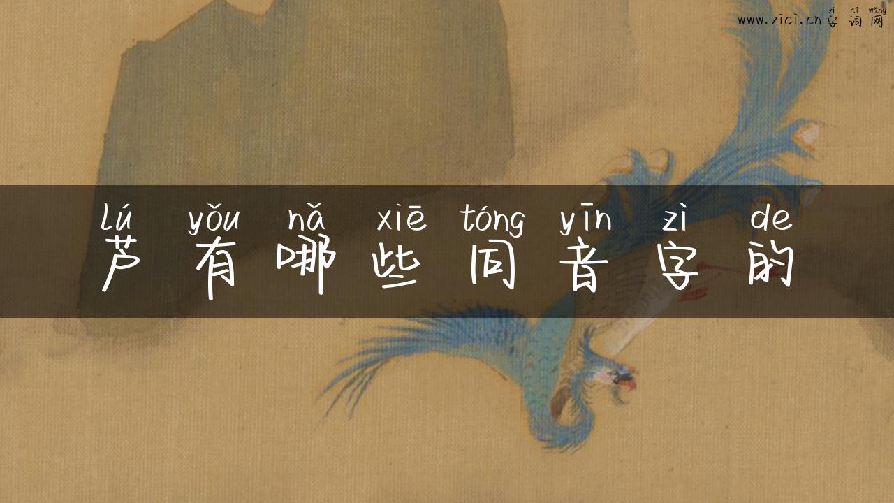 芦有哪些同音字的