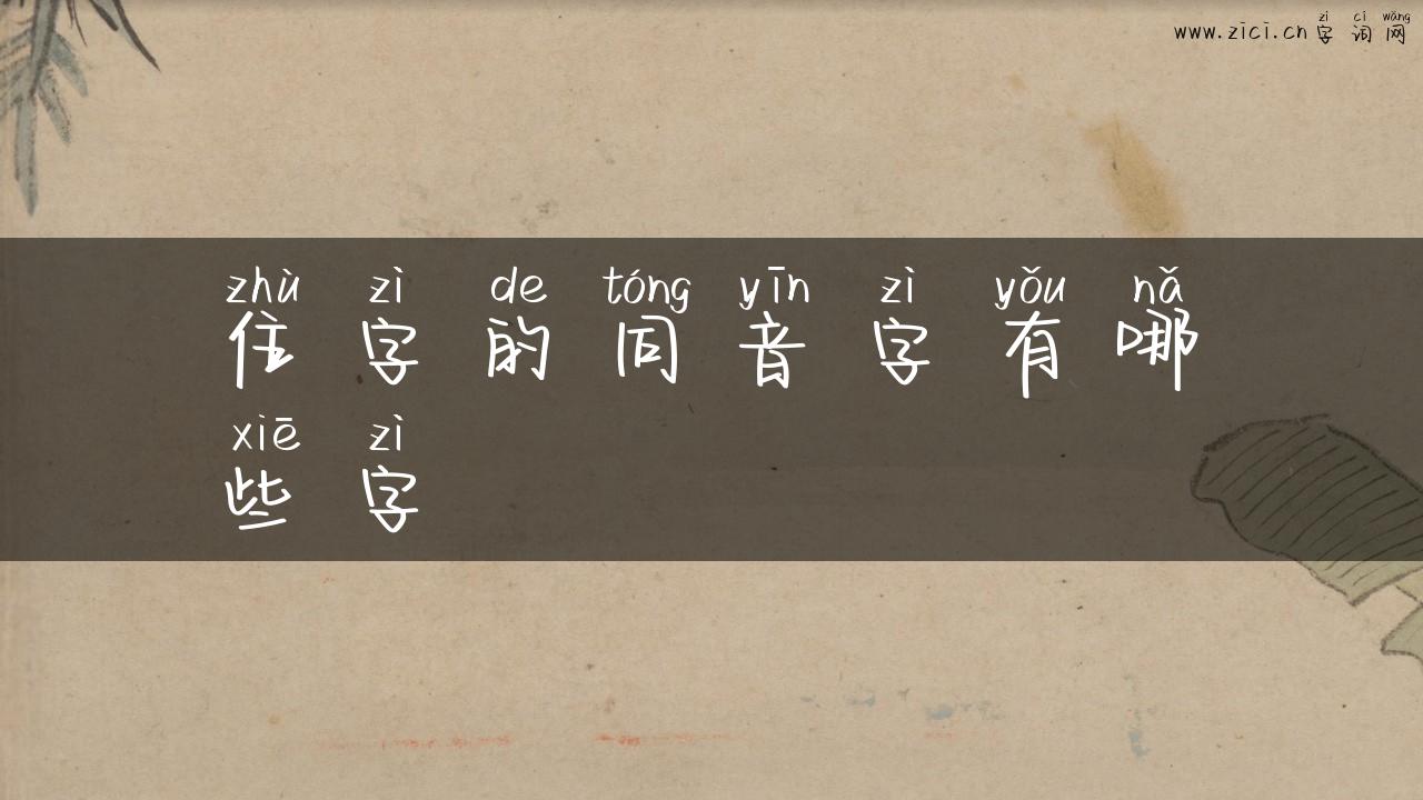 住字的同音字有哪些字