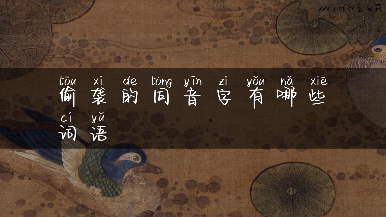 偷袭的同音字有哪些词语