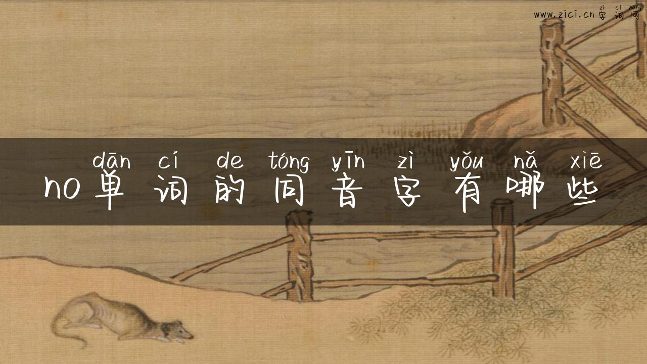 no单词的同音字有哪些