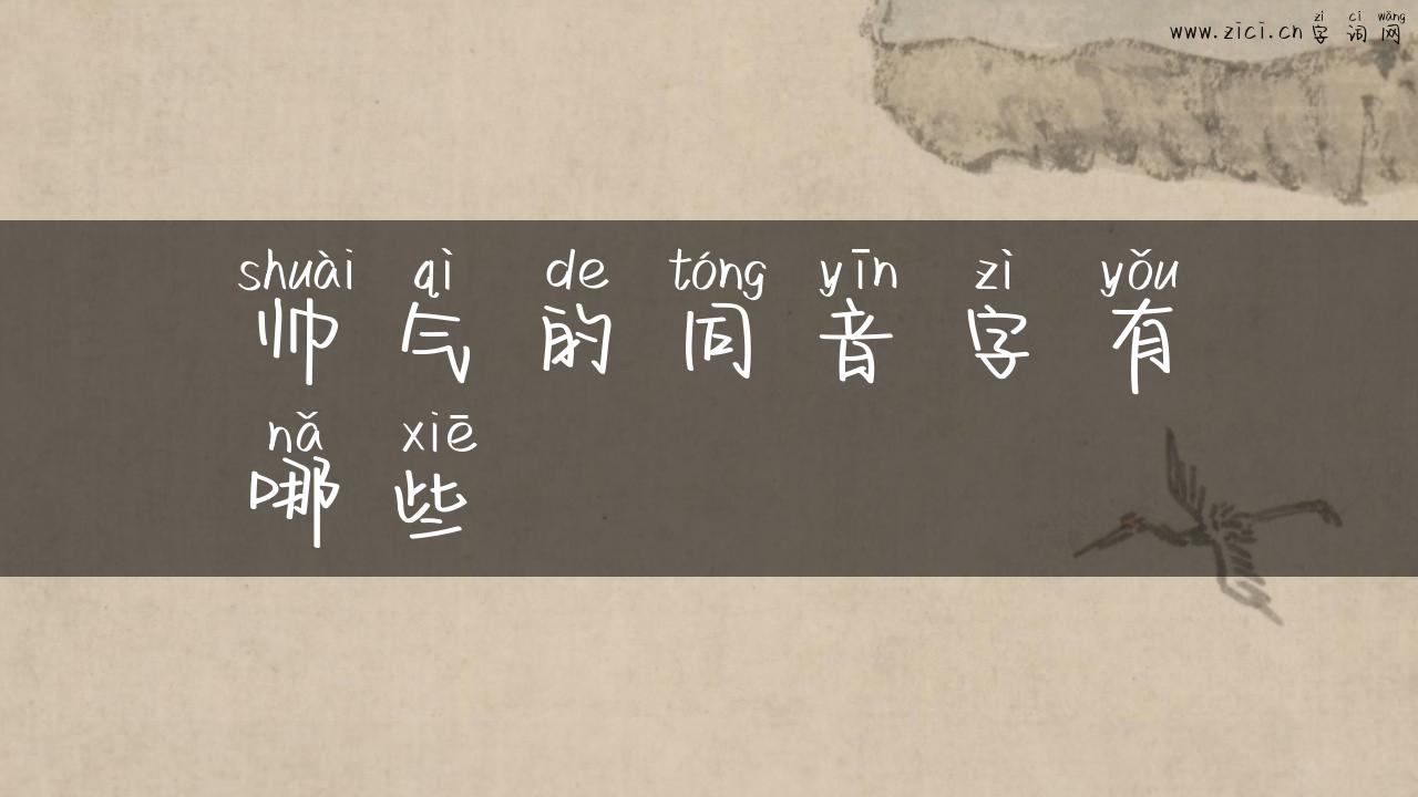 帅气的同音字有哪些