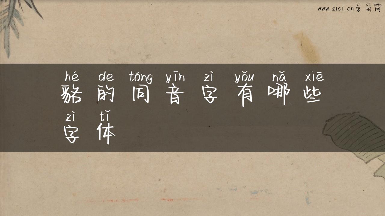 貉的同音字有哪些字体