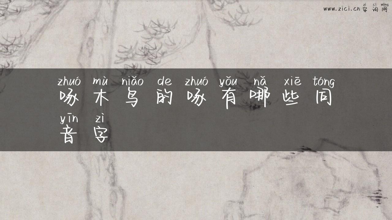 啄木鸟的啄有哪些同音字