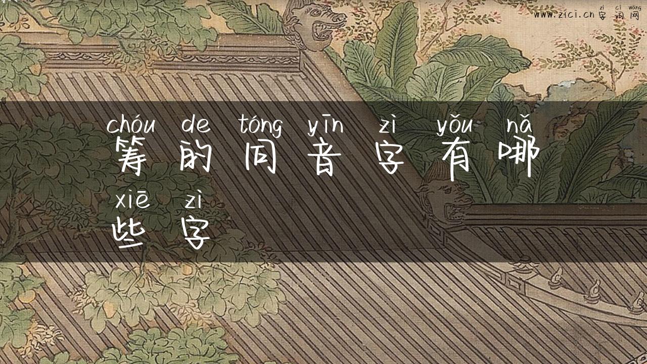 筹的同音字有哪些字