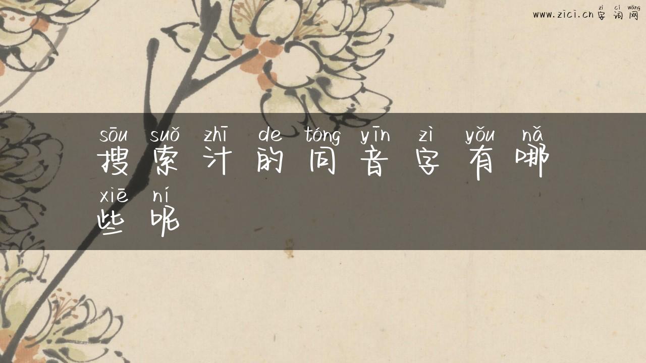 搜索汁的同音字有哪些呢