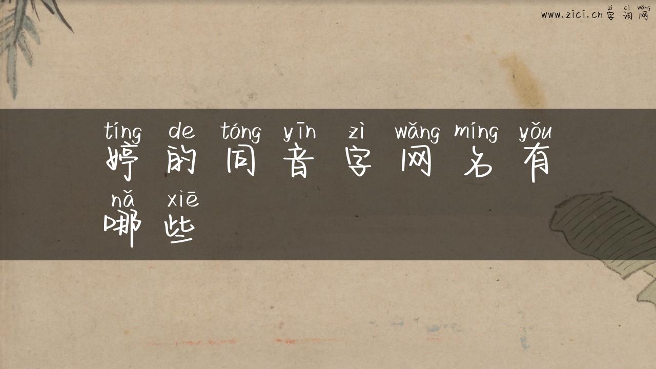 婷的同音字网名有哪些