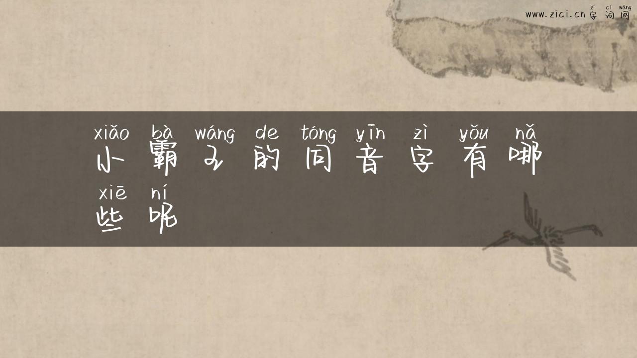 小霸王的同音字有哪些呢