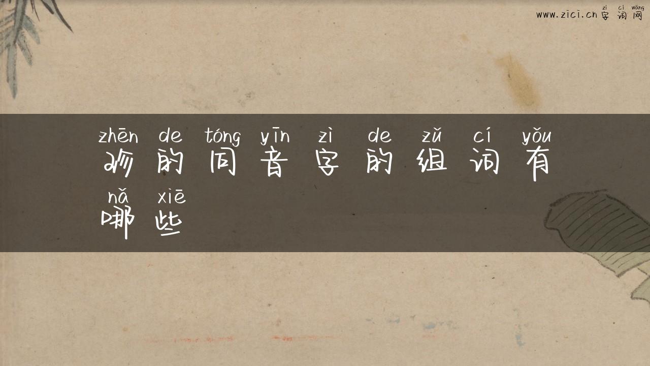 珍的同音字的组词有哪些