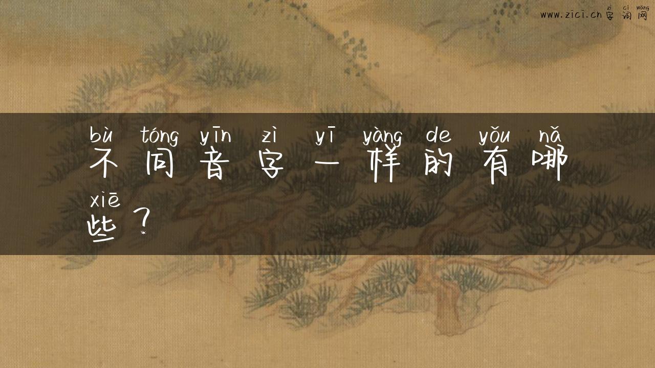 不同音字一样的有哪些？