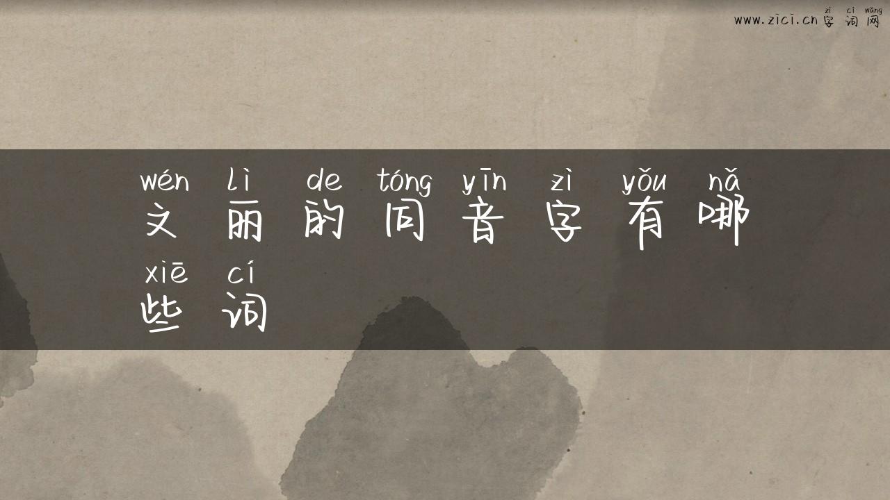文丽的同音字有哪些词