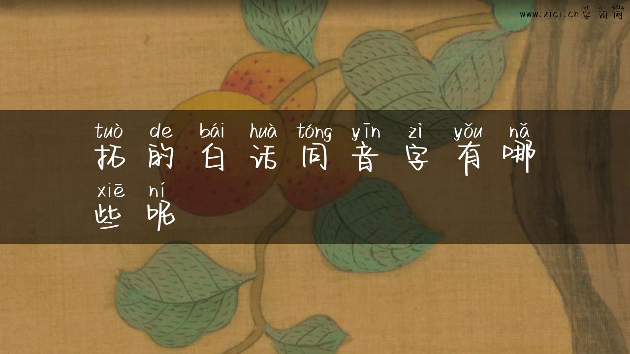 拓的白话同音字有哪些呢