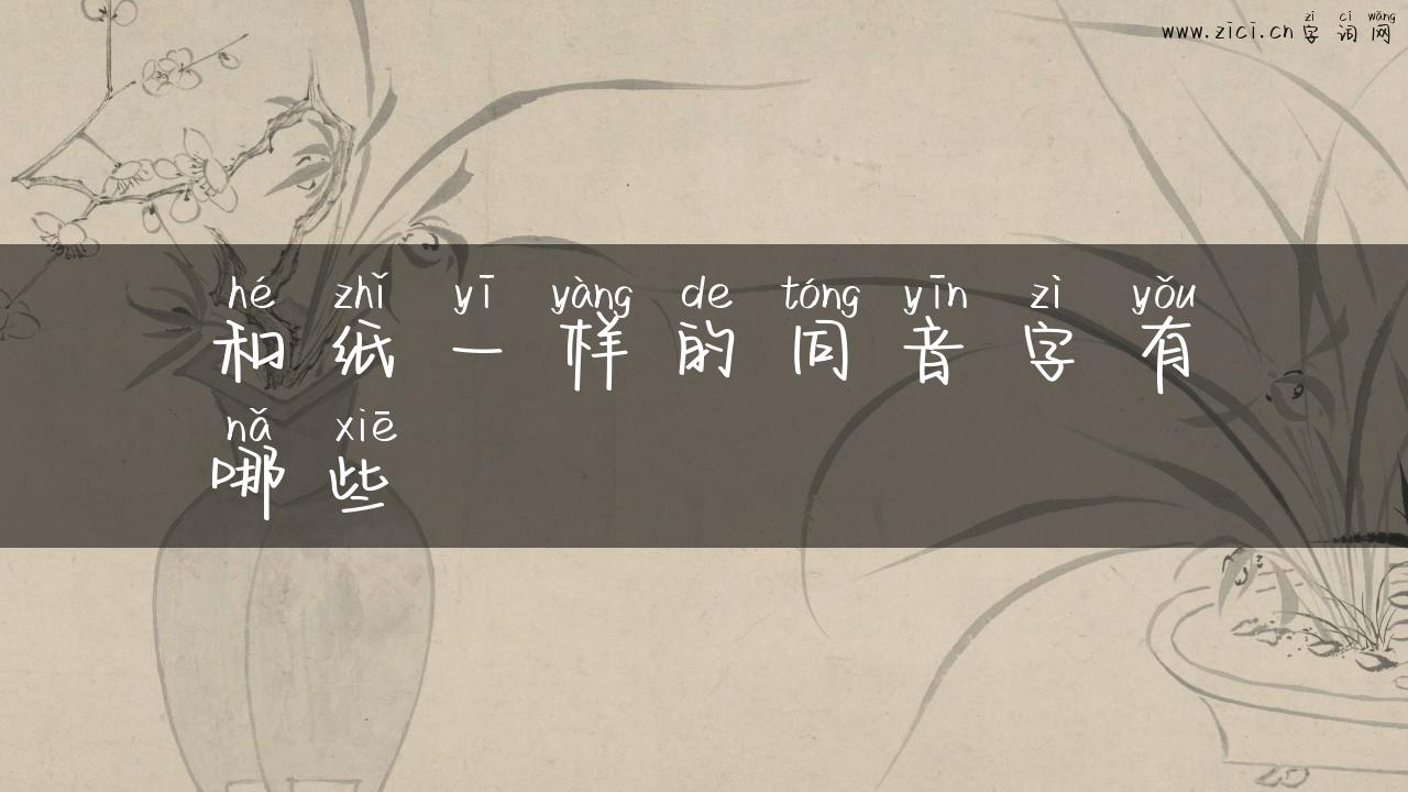 和纸一样的同音字有哪些