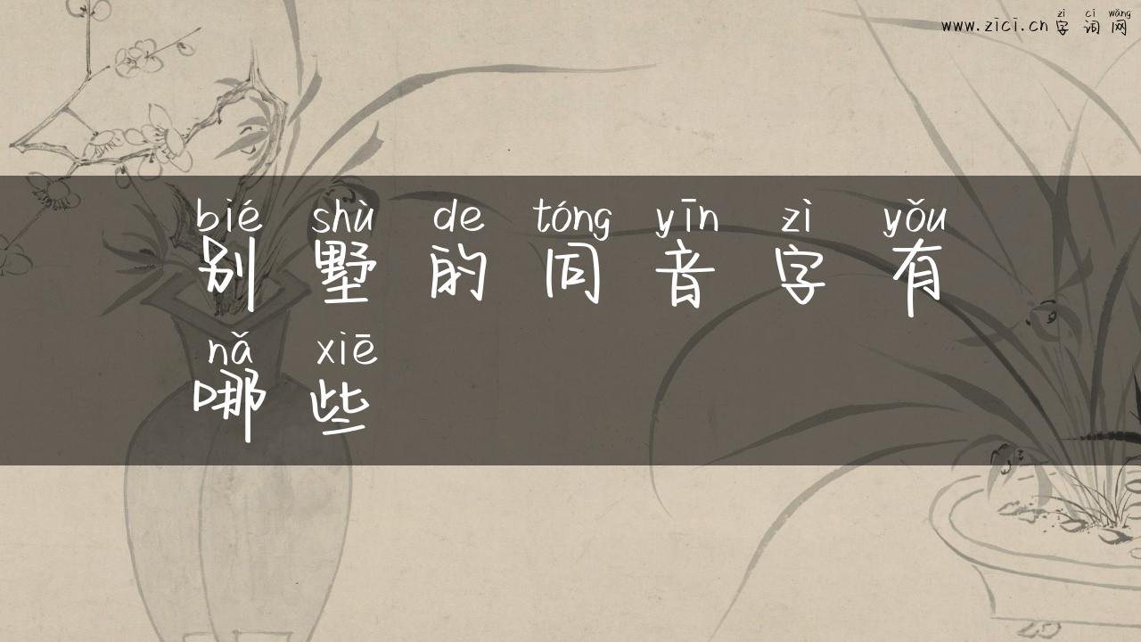 别墅的同音字有哪些