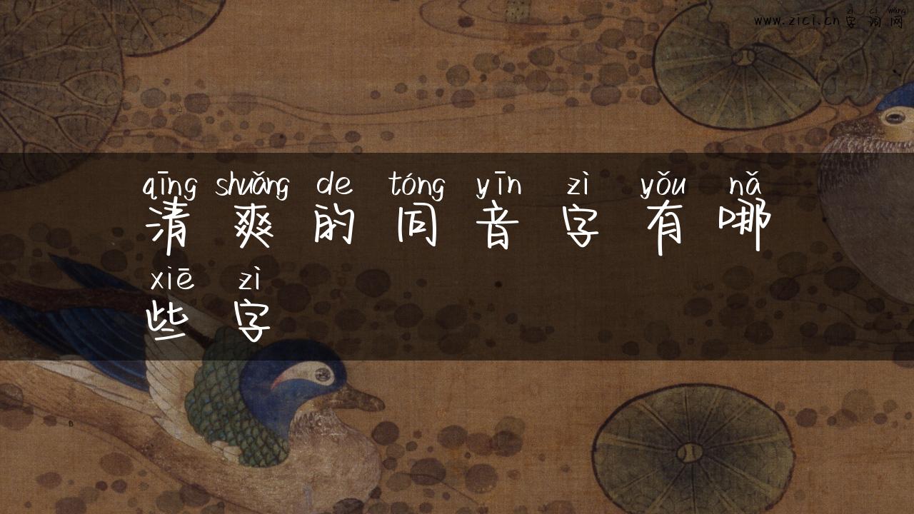 清爽的同音字有哪些字