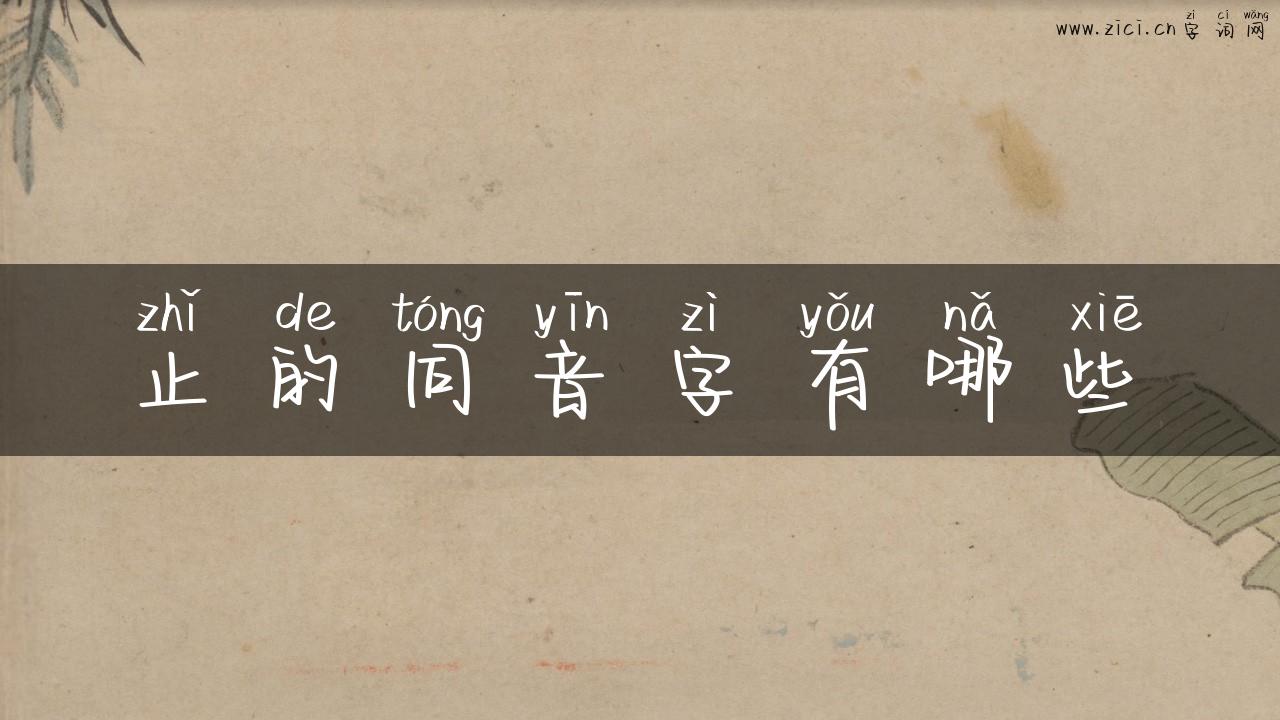 止的同音字有哪些