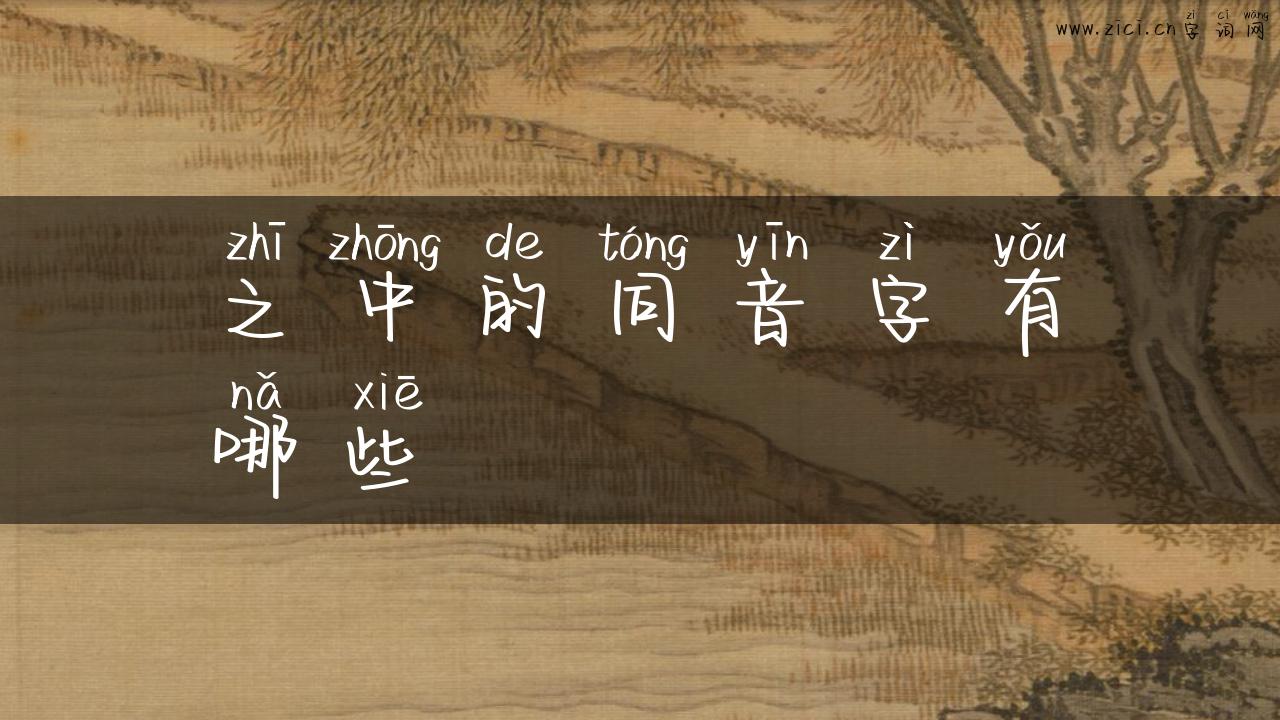 之中的同音字有哪些
