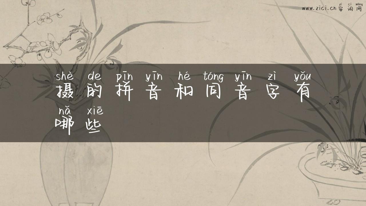 摄的拼音和同音字有哪些