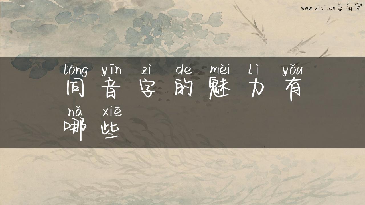 同音字的魅力有哪些