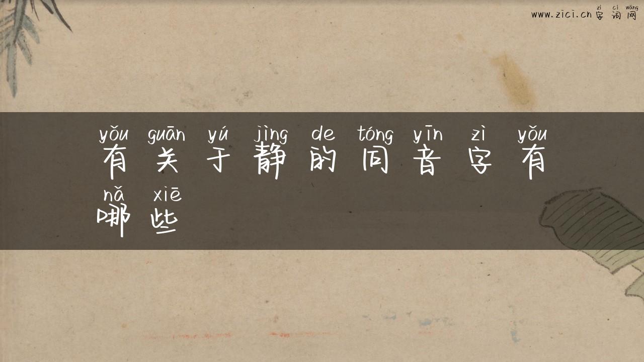 有关于静的同音字有哪些