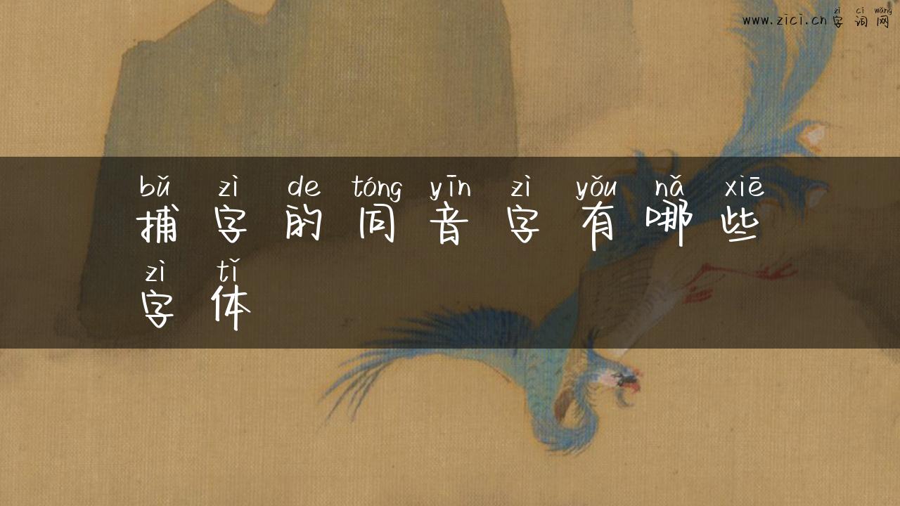 捕字的同音字有哪些字体
