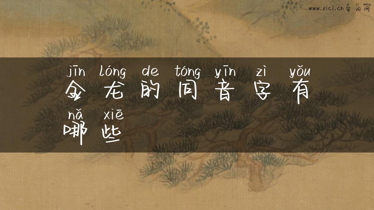 金龙的同音字有哪些