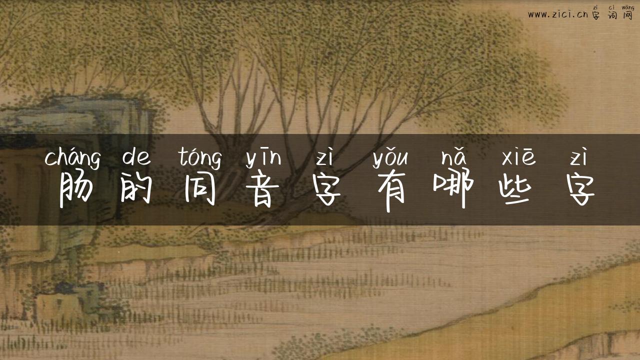 肠的同音字有哪些字