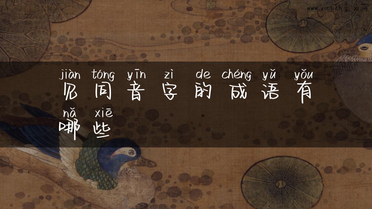 见同音字的成语有哪些