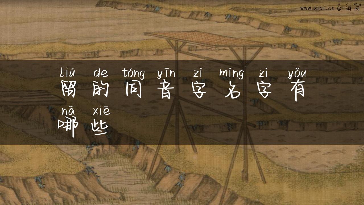 留的同音字名字有哪些