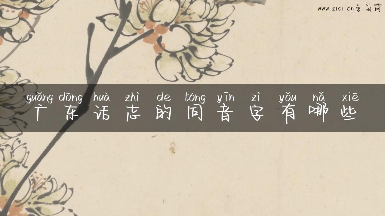 广东话志的同音字有哪些