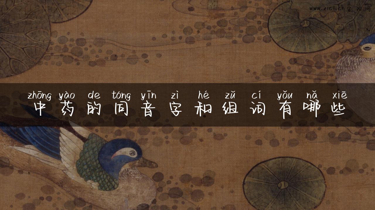中药的同音字和组词有哪些