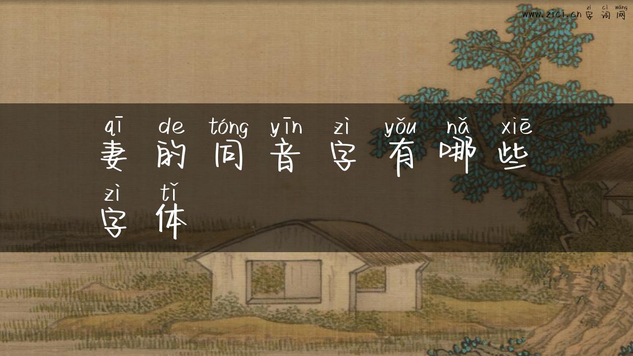 妻的同音字有哪些字体