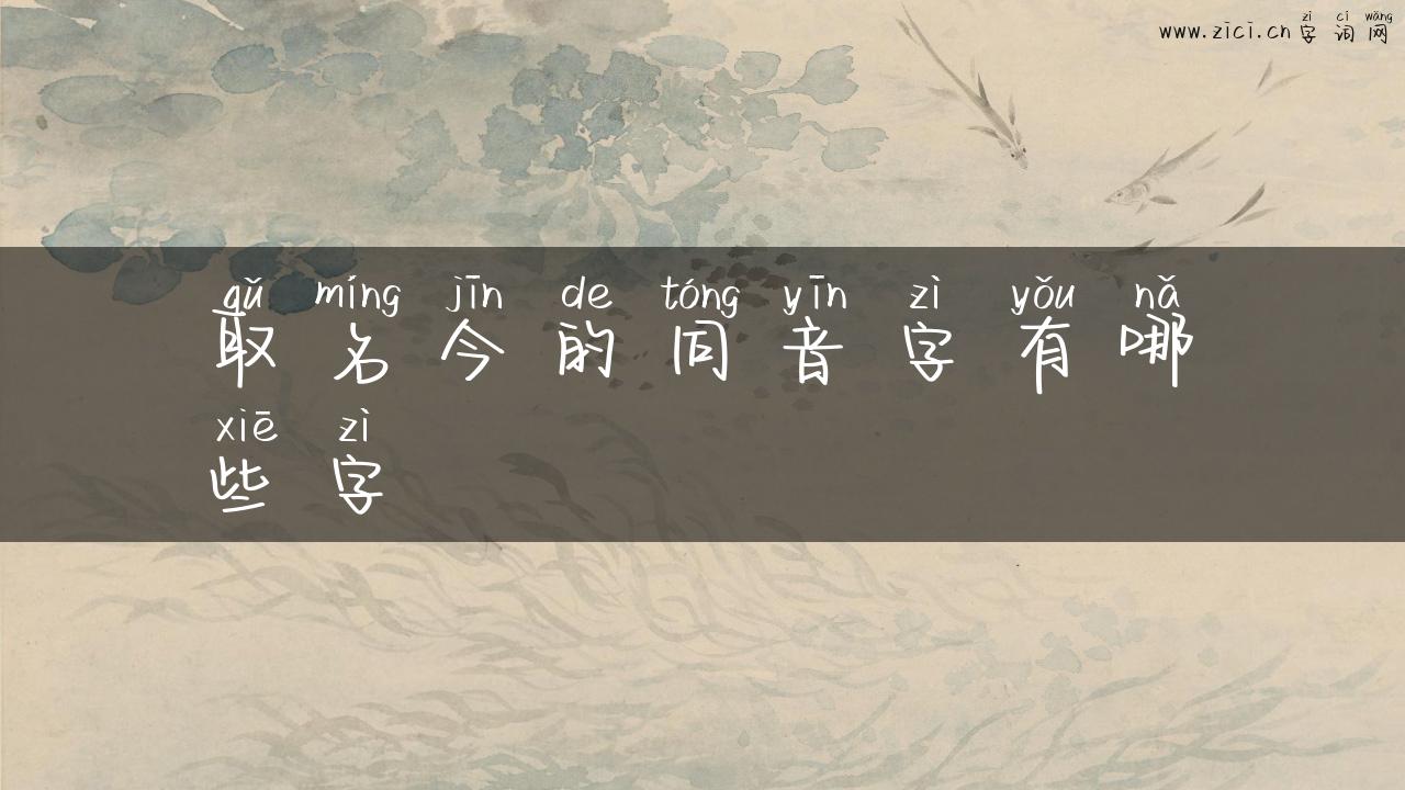 取名今的同音字有哪些字