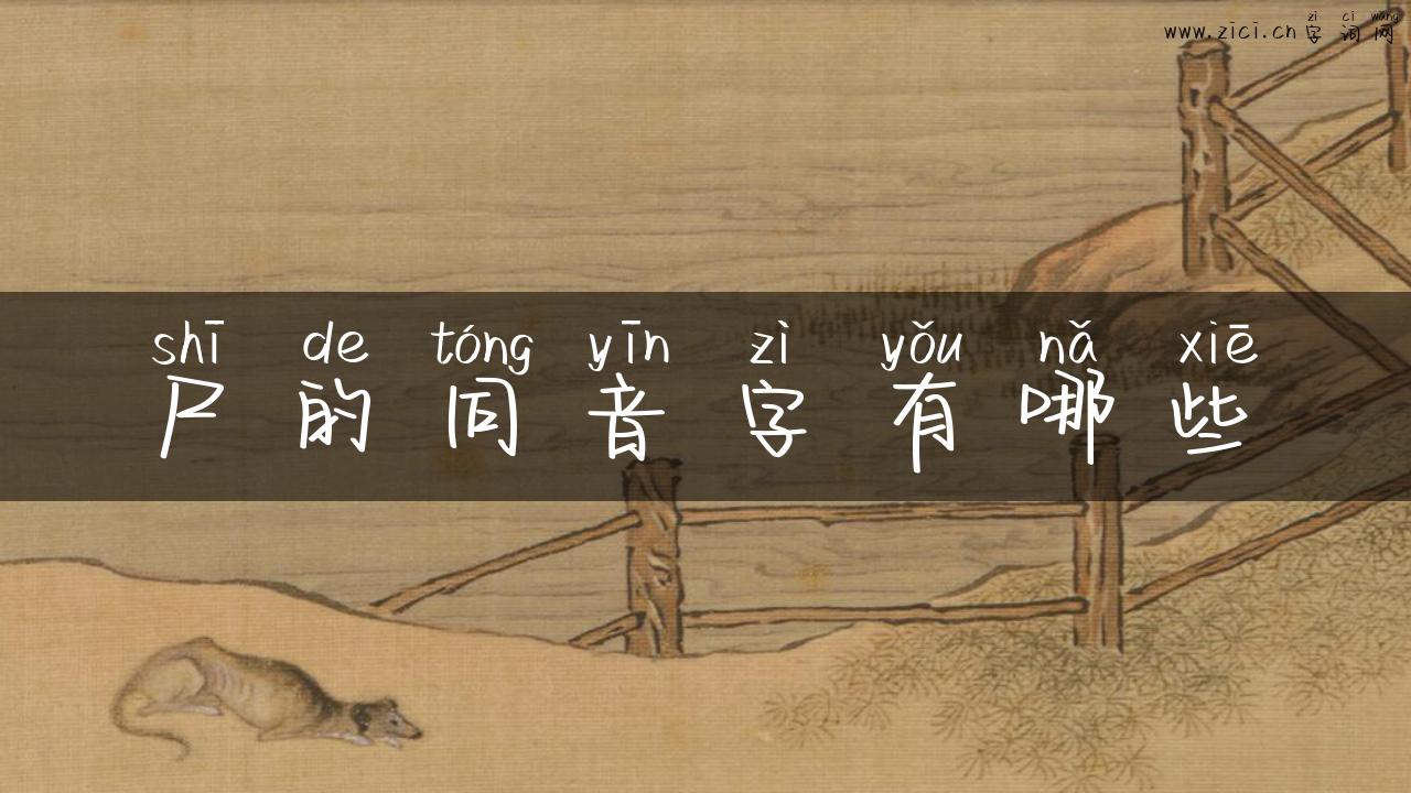 尸的同音字有哪些