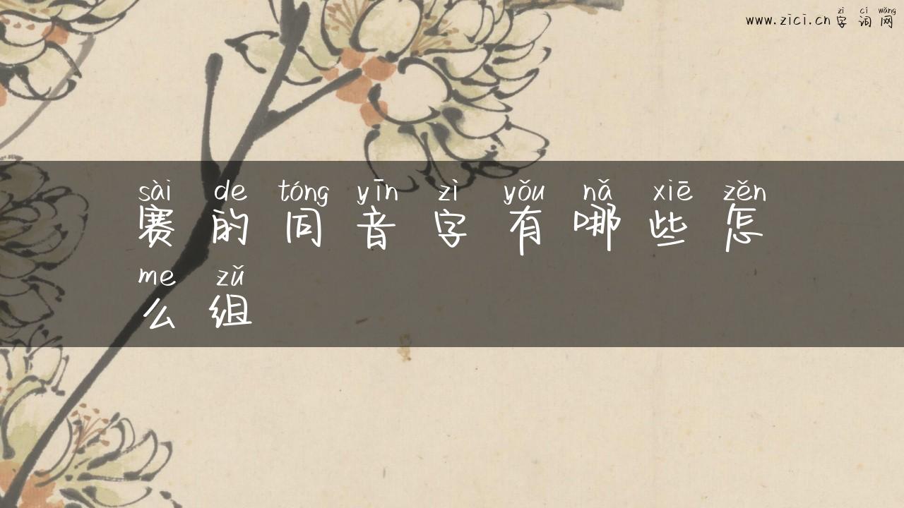 赛的同音字有哪些怎么组