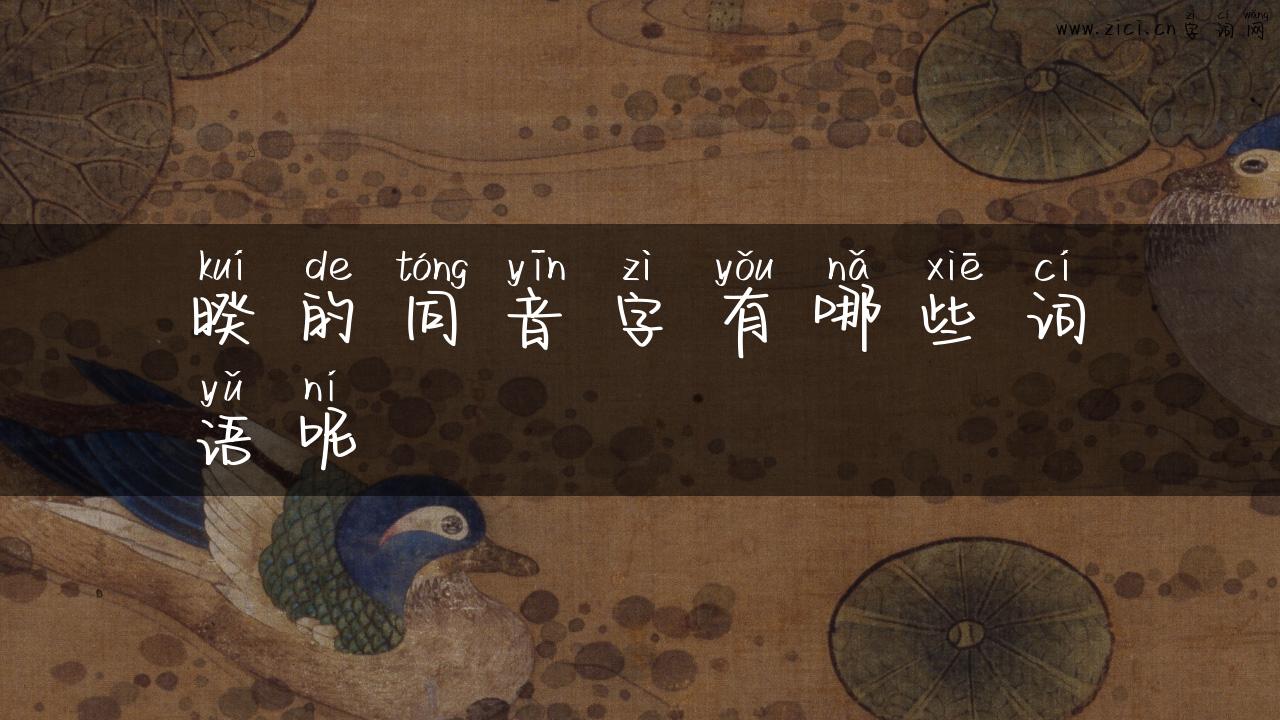 暌的同音字有哪些词语呢