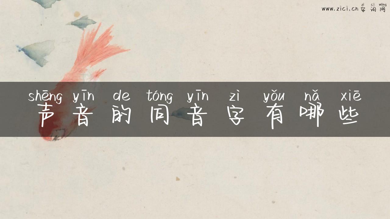声音的同音字有哪些