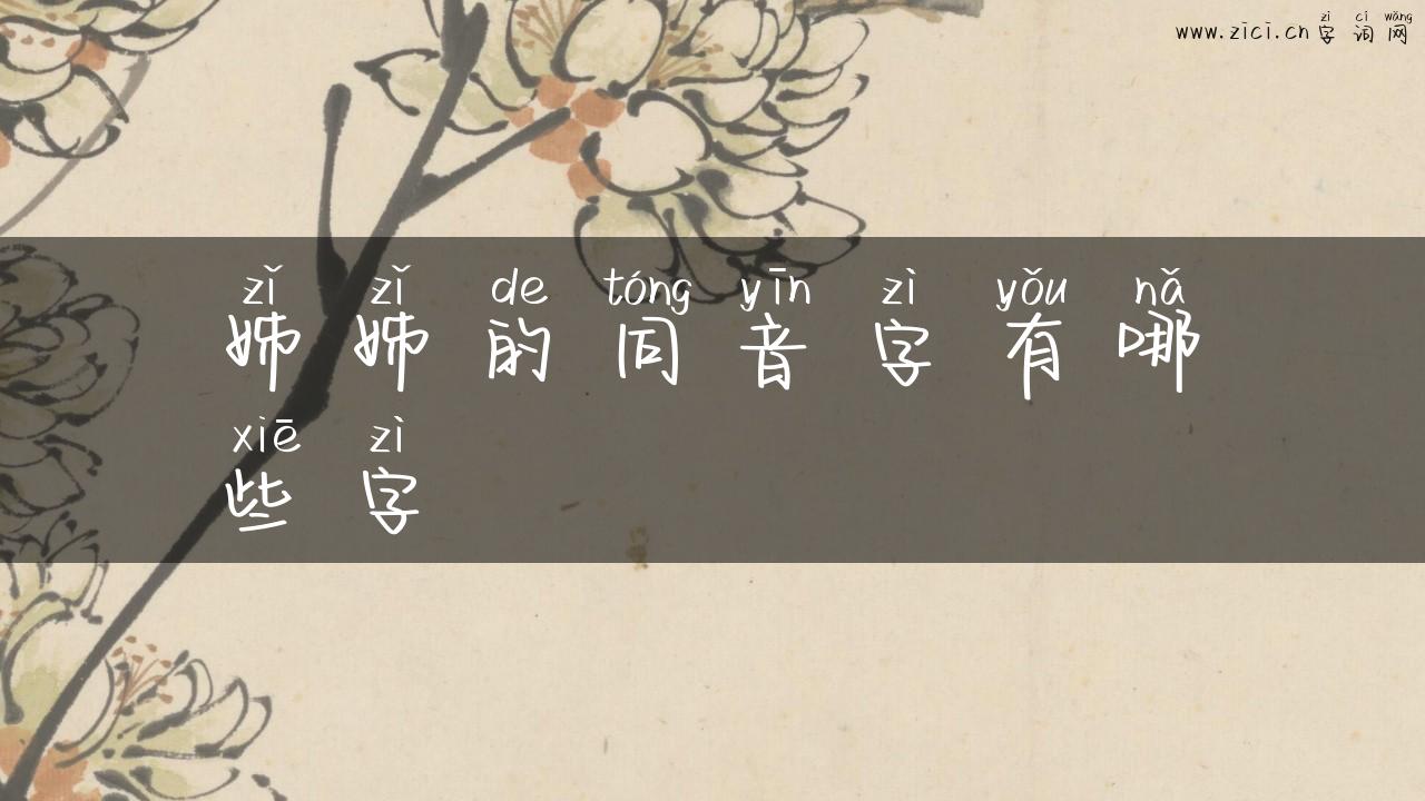 姊姊的同音字有哪些字