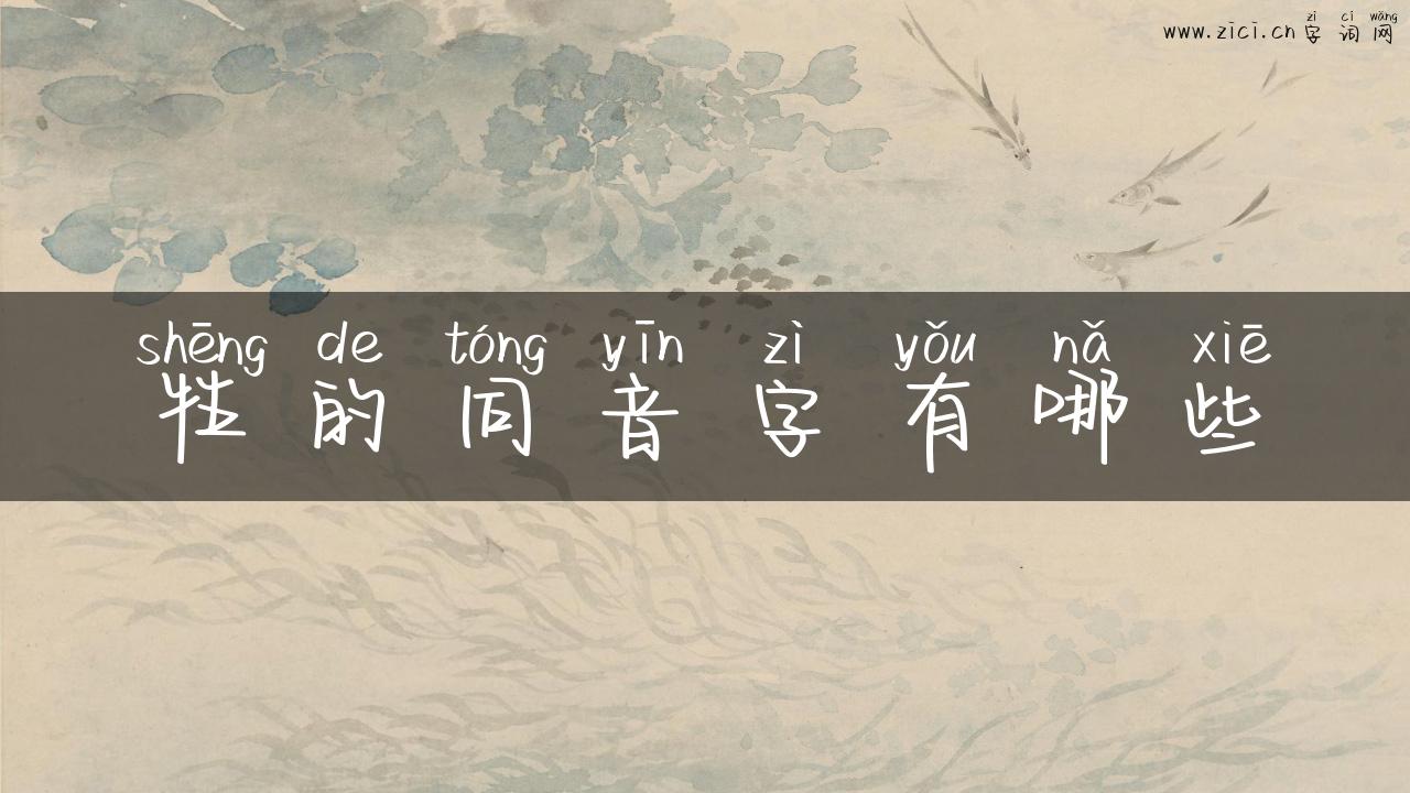 牲的同音字有哪些