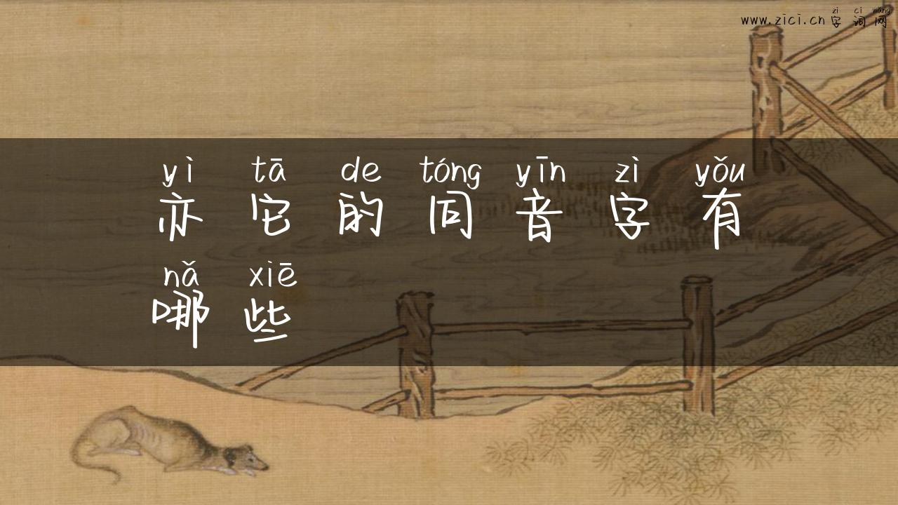 亦它的同音字有哪些
