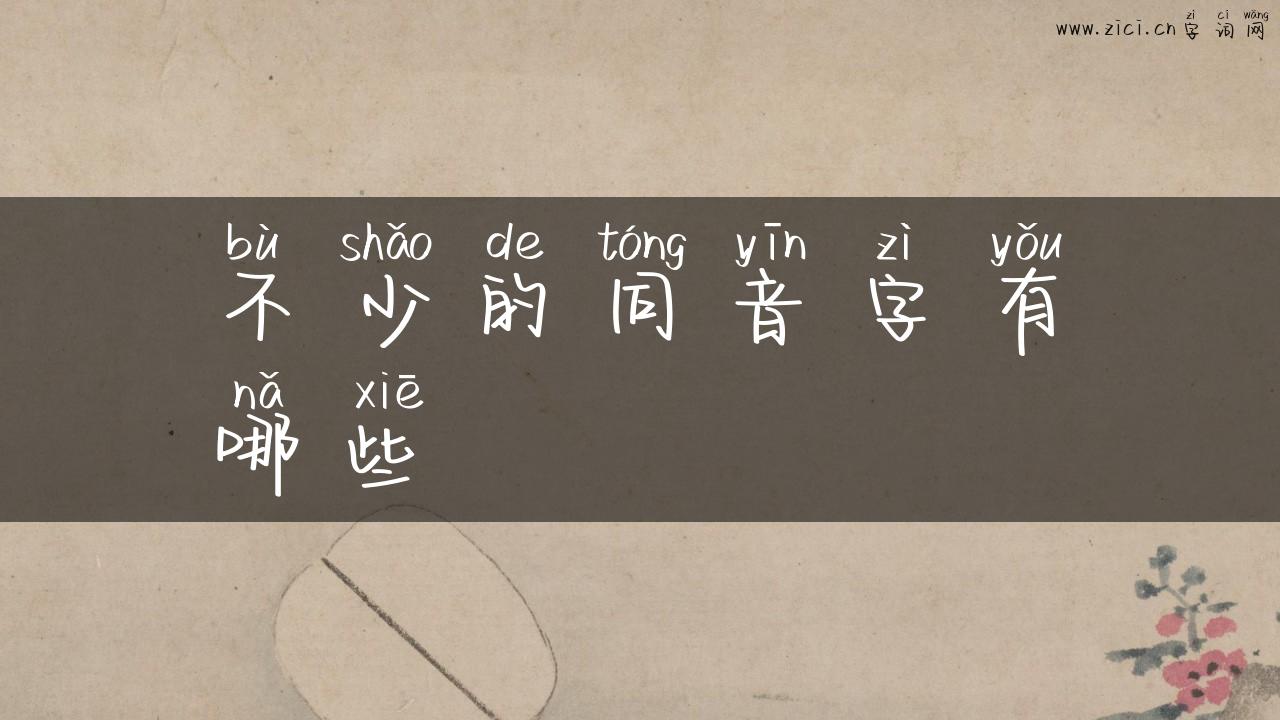 不少的同音字有哪些
