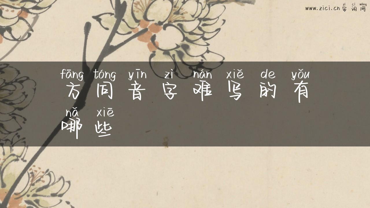 方同音字难写的有哪些