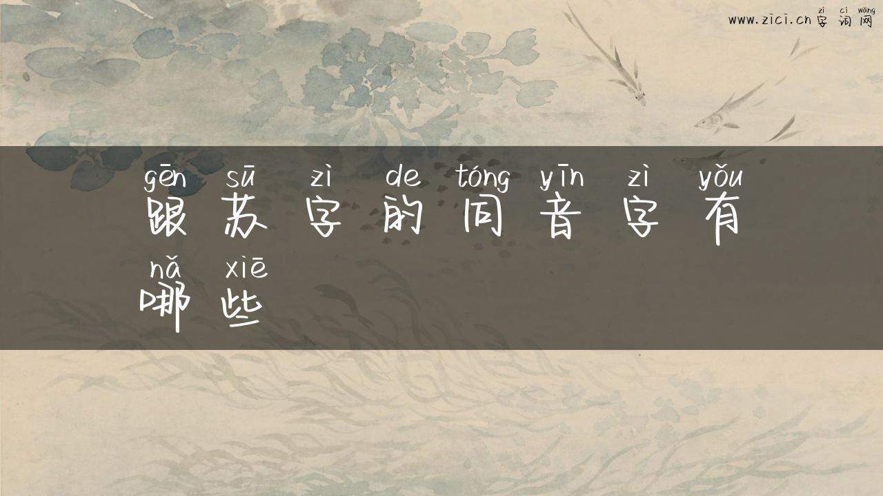跟苏字的同音字有哪些