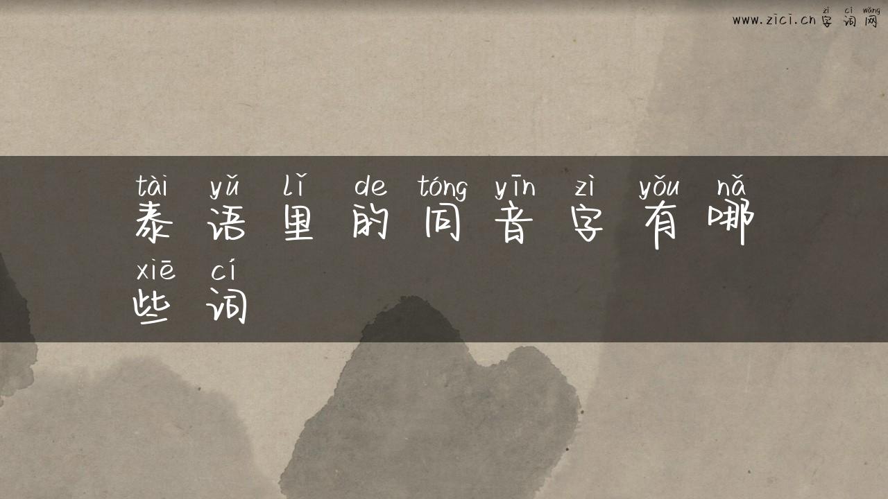 泰语里的同音字有哪些词