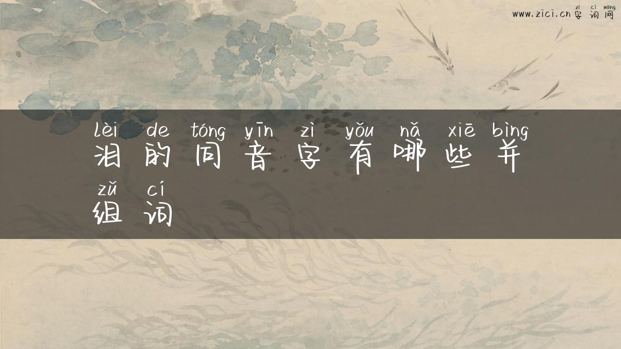 泪的同音字有哪些并组词