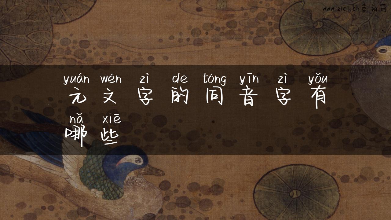 元文字的同音字有哪些