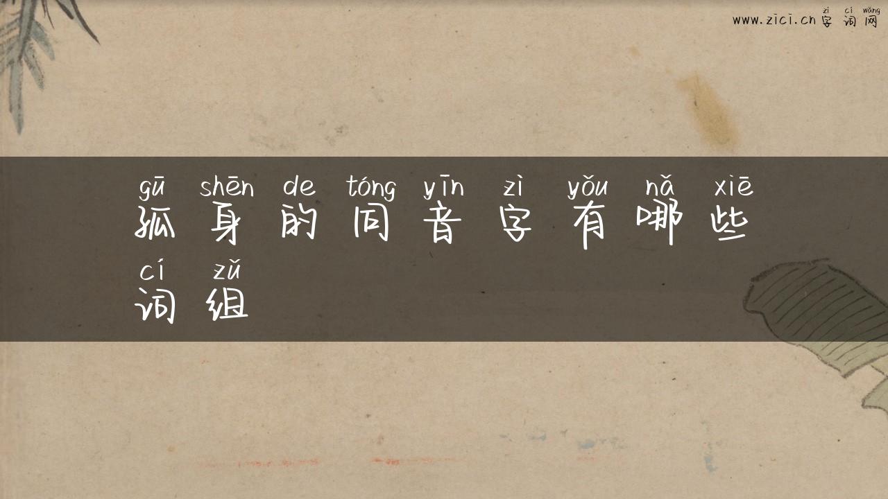 孤身的同音字有哪些词组