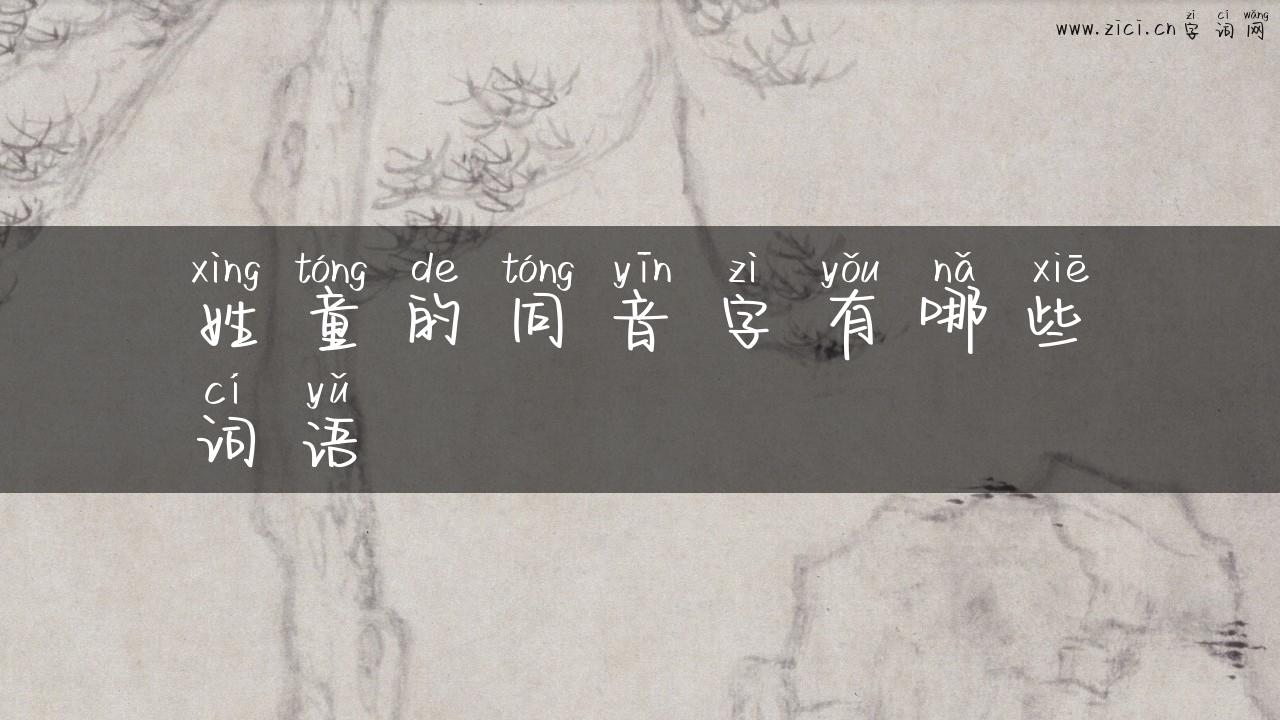 姓童的同音字有哪些词语