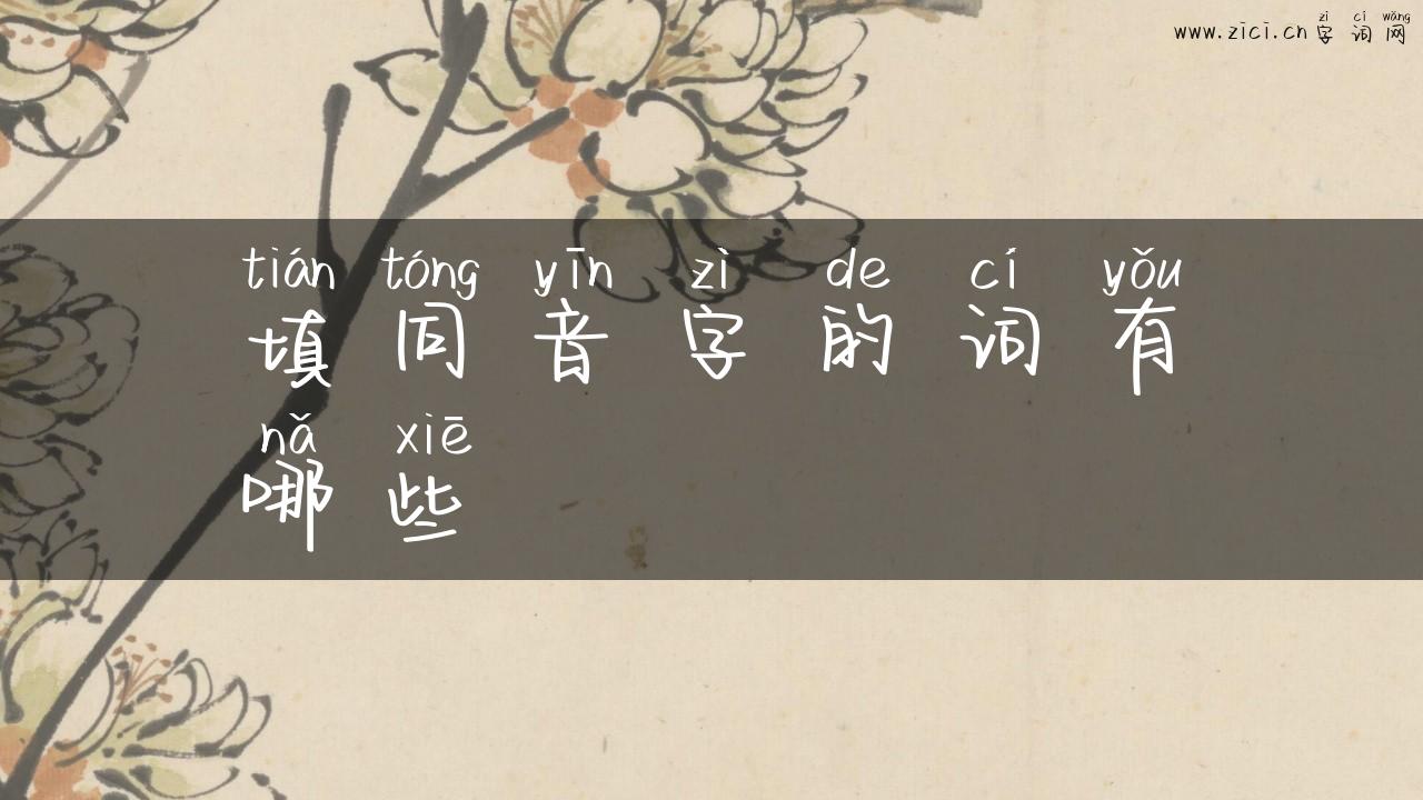 填同音字的词有哪些