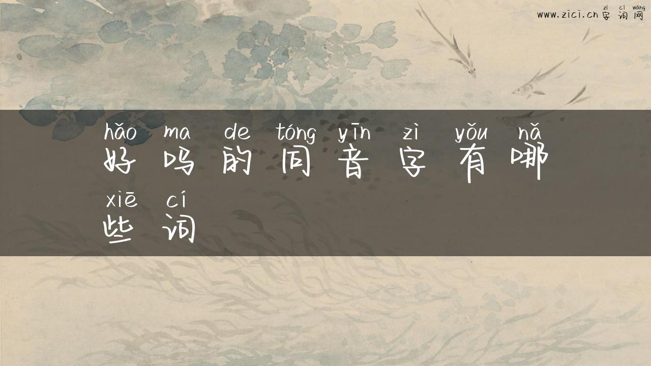 好吗的同音字有哪些词