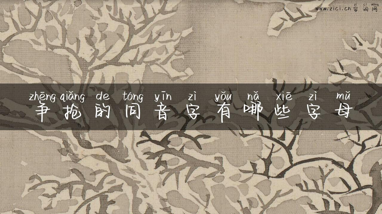 争抢的同音字有哪些字母